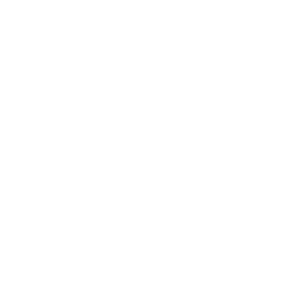 donut icon